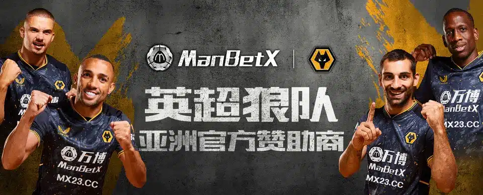 万博体育介绍的玩家体验