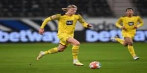 专家观点与未来展望-万博体育