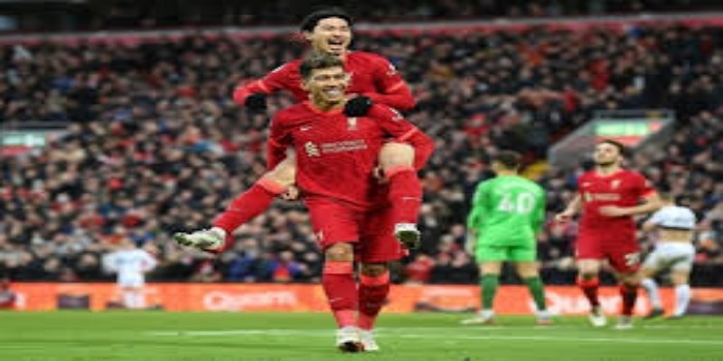 森林的战术完美执行：防守反击的极致样本-万博体育