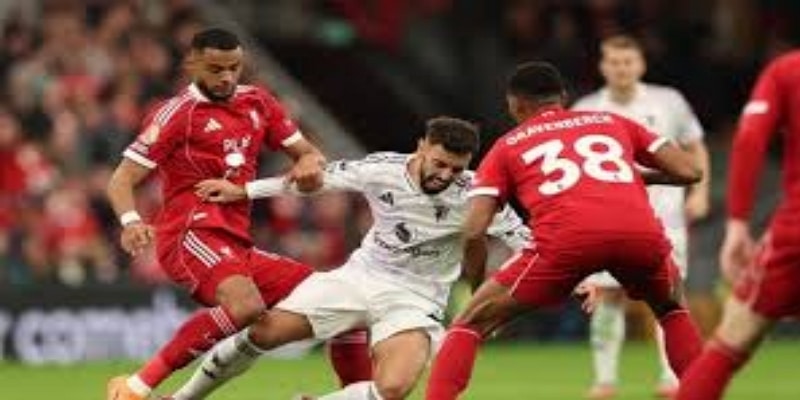 深度分析：马奎尔的竞技与战术价值- 万博体育