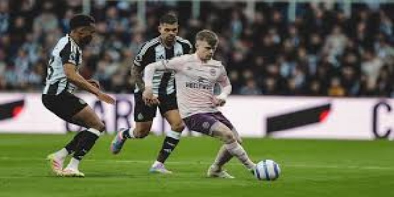 近期战绩回顾与高赔率提示 -万博体育