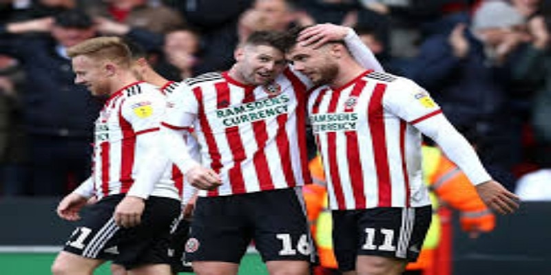 鲁本·塞列斯领跑新帅人选-万博体育