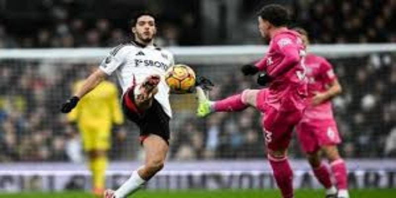 中场核心价值：戈斯林为何值得伯恩茅斯押注四年？-万博体育