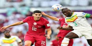 未来展望：埃及的非洲杯传奇 - 万博体育